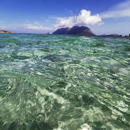 Appartamento Da Wanna Olbia Zewnętrze zdjęcie