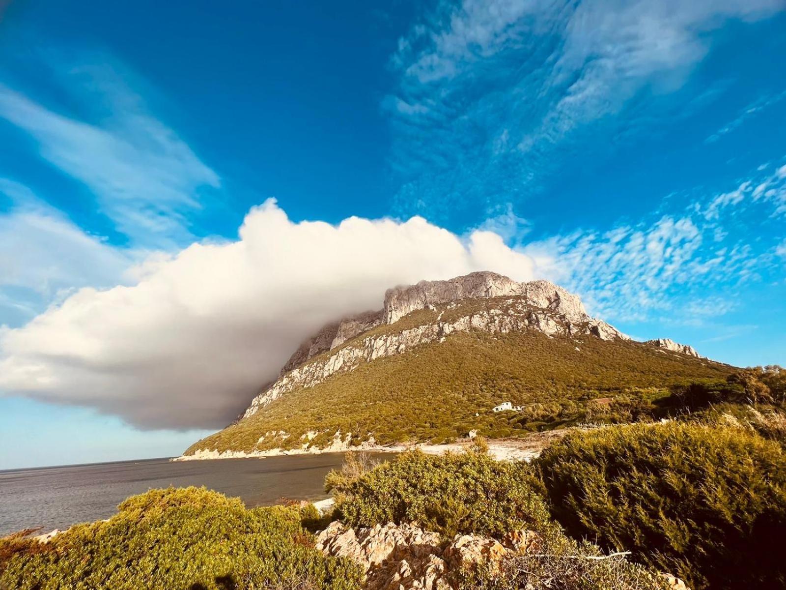 Appartamento Da Wanna Olbia Zewnętrze zdjęcie