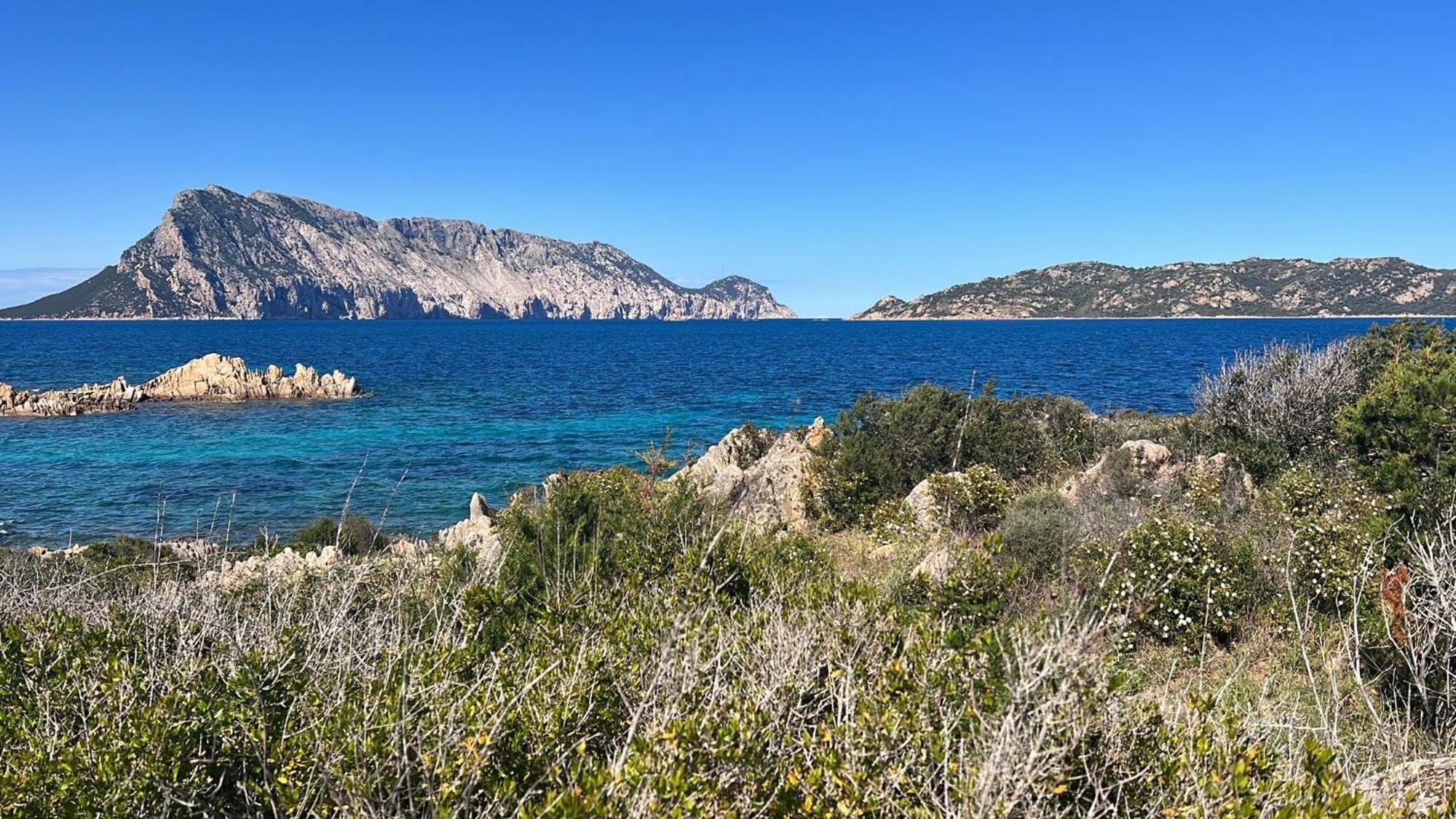 Appartamento Da Wanna Olbia Zewnętrze zdjęcie
